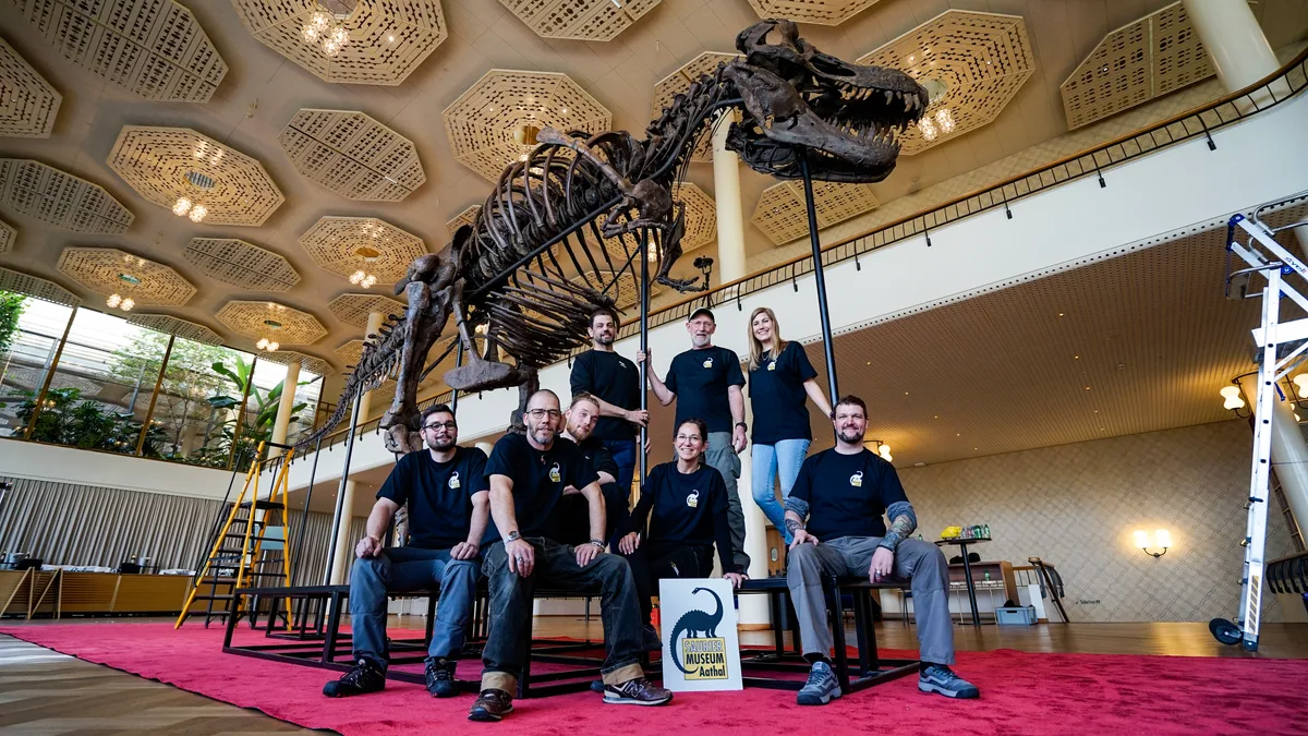 Mehrere Menschen sitzen vor einem fertig aufgebauten T-Rex-Skelett. 